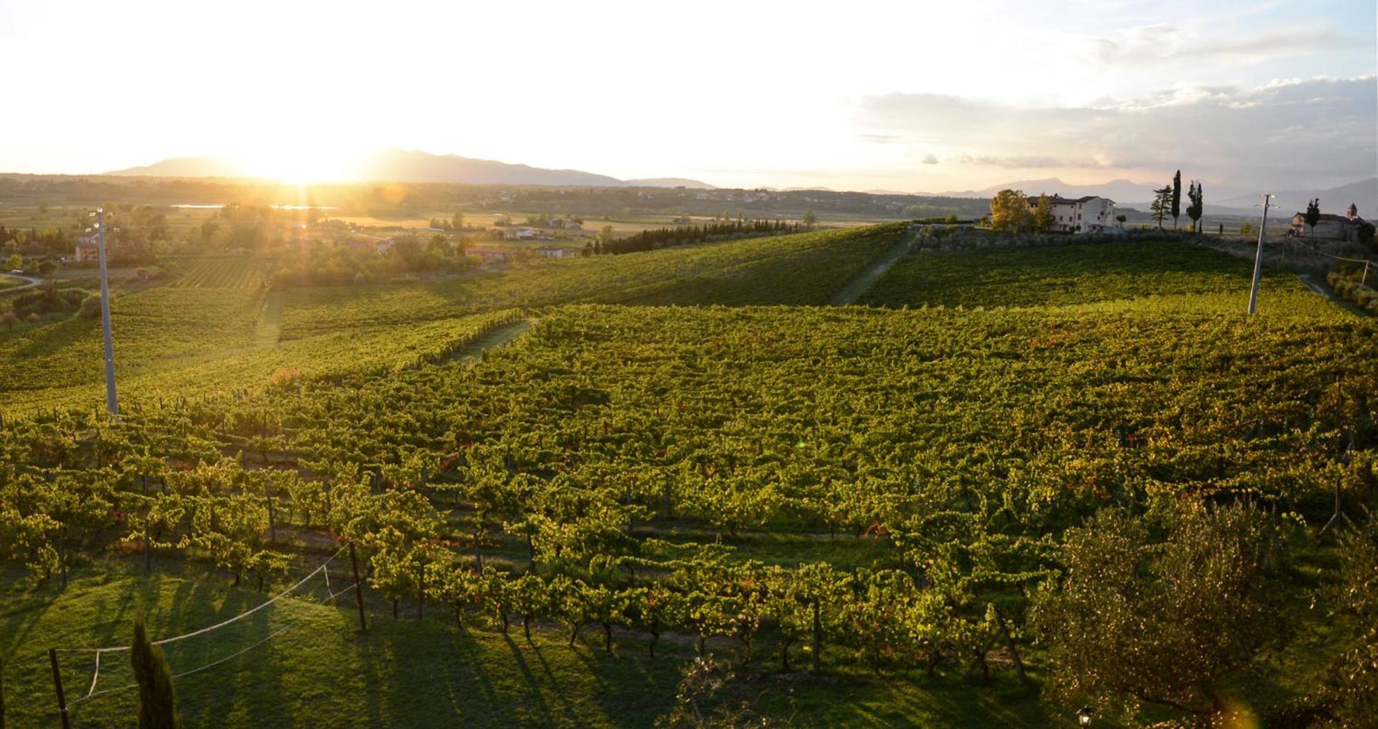 Agriturismo Corte In Poggio Stabbia Bagian luar foto